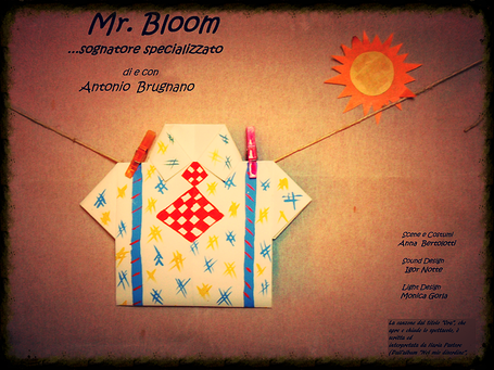 Mr. Bloom