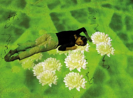 Il giardino giapponese